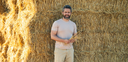 Farmer examines the quality of his organic hay. Farmer In Wheat Field After Harvest Examining Hay. Crops After Harvesting. Farm Lifestyle. Barn, Hay Rolled Bales. Hay On Farm. Livestock Farming.の写真素材