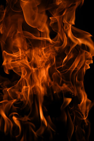 Fire flame. Burn lights on a black background.