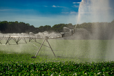Irrigation system is watering summer field. Automatic Sprinkler irrigation system watering in the vegetable farm. Sprinkler Irrigation system for watering a farm lawn. Agriculture irrigation.の写真素材