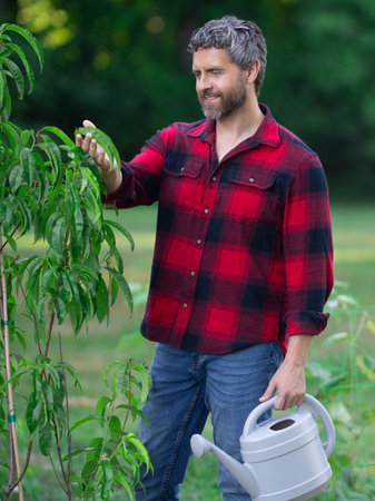 A gardener watering plants ant tree in a garden. A man pruning a tree in an orchard. A farmer planting fruit tree in a garden. A gardener tending to a tree in a farmyard. A farm with rows of fruit trees.の写真素材