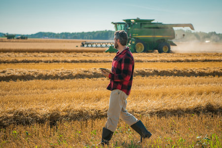 Autumn Farming season. Farmer with harvest on wheat field. Farmer inspecting the harvest. Wheat ready for harvest. Farmer examining harvest. Farmworker walking through the field.の写真素材