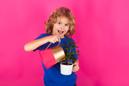 Child watering potted plan. Kid plant flowers. Helping at home. Kid planting flowers. Child takes care of a plant with a watering can for watering flowers. Kids planting concept. Little gardener planting plants.の写真素材