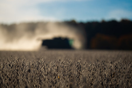 Straw and grain harvesting. Combine harvester in a wheat field. Harvesting on rural farm. Combine harvester machinery. Agricultural Combine harvester at work. Rural landscape with a combine harvester.の写真素材
