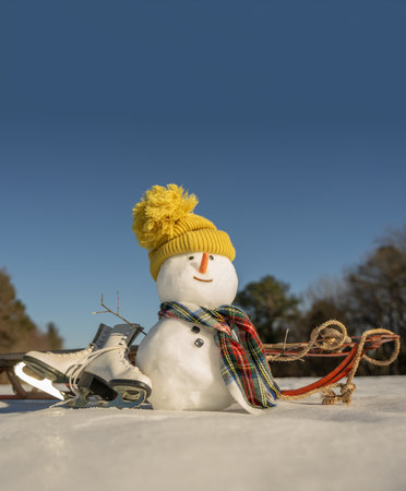 Snowman winter background. Winter holiday scene. Snowman with scarf and hat. Winter design. Happy snowman outdoor. New year banner. Frosty snowman. Winter greeting postcard. Cute snow man.の写真素材