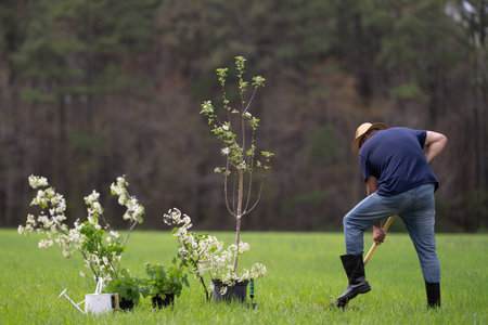 Gardener digging in soil. Farmer working in spring field. Gardener working in garden with shovel. Rural gardener cultivating land. Farmer man gardener in orchard. Worker planting seedling.の写真素材