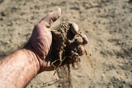 Closeup of Soil in Farmers hand. Soil testing before planting. Healthy soil for farming. Preparing farmland for sowing. Hands covered in soil. Farmer hold ground composition. Groundwork for a harvest.の写真素材