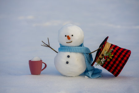 Snowman on winter card. Playful snowman outdoors. Snowman in snowfall. Winter vacation vibes. Funny snow man in snow. Christmas and New Year. Snowman festive winter celebration. Winter theme.の写真素材