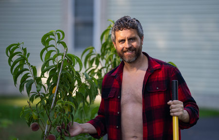 Man growing plants in the garden. Farmer plant tree in the home backyard. Man planting a tree....