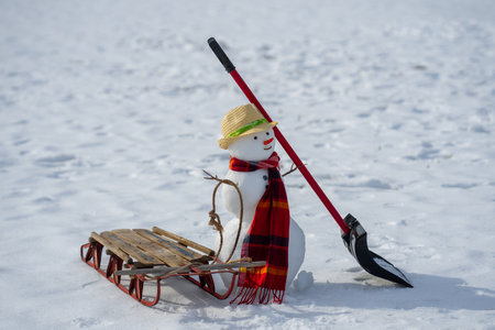 Snowman winter background. Winter holiday scene. Snowman with scarf and hat. Winter design. Happy snow-man outdoor. New year banner. Frosty snowman. Winter greeting postcard. Cute snowman.の写真素材