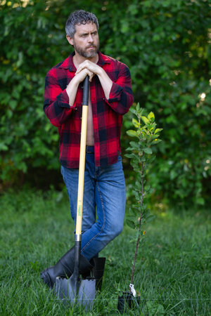 Gardener growing plants in the garden. Farmer plant tree in the home backyard. Man planting a tree. Gardening with a shovel. Home garden cultivation. Yard full of greenery. Mature farmer planting tree.の写真素材
