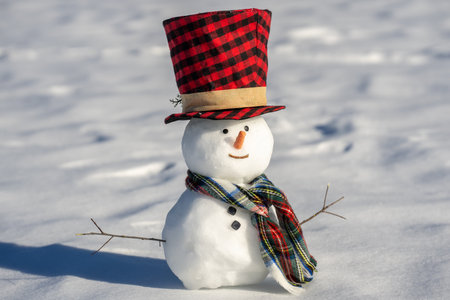 Snowman on winter snow background. Snowman outdoors. Winter holiday. Cute snowman in snow. Christmas and New Year. Snowman festive winter celebration. Winter theme.の写真素材