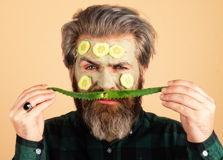 Funny facial treatment for man. Male facial treatment. Funny bearded man with clay facial mask in beauty spa. Fun guy with facial mask with Cucumber and aloe. Spa day for the funny bearded man.の写真素材