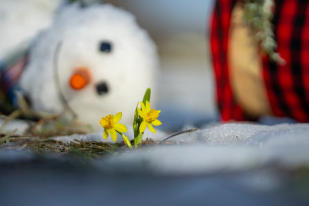 End of winter, hello spring. Melting snowman. Warming season effects. Winter and spring seasons change. Melting snowman with puddles around it. From winter to spring. Melting snowman in warm weather.の写真素材