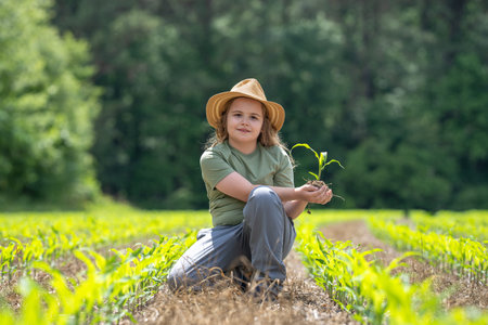 Child helping on farm. Young farmer planting corn. Kid working on farmland. Kid in corn field. Little farmer planting. Kid farmer growing corn. Child with maize sprout. Small farmer.の写真素材