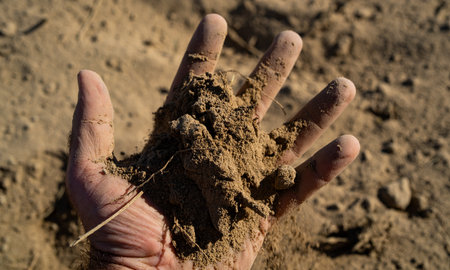 Soil in Farmers hand. Land soil prepared for planting. Farmer hold soil. Agronomist checking soil on farm. Planting season. Humus Fertile earth ready for sowing. Soiling work.の写真素材