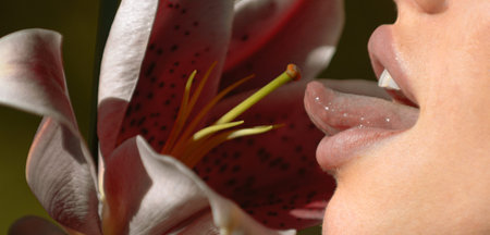 Woman licks flower. Woman lips with day lily, Oriental Hybrids, lilium or hippeastrum