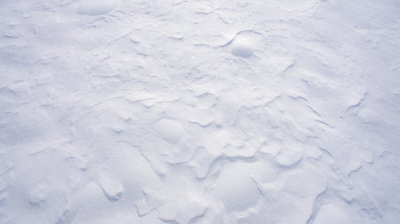 Snow covers the background. Snow fills the background completely. Snow adds beauty to the...