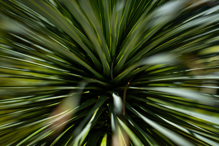 Texture of tropical palm leaves. Pattern of palm leaves. Palm background. Green leaves wallpaper. Exotic jungle foliage. Green leaves tropical greenery. Green pattern. Green palm background.の写真素材