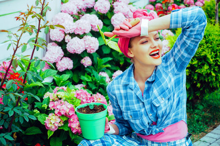 Woman work in flowering garden. Girl in garden. Blossom in garden. Gardening lady holding flower pot. Planting in spring. Flowering plants. Young female gardener in backyard. Home garden.の写真素材