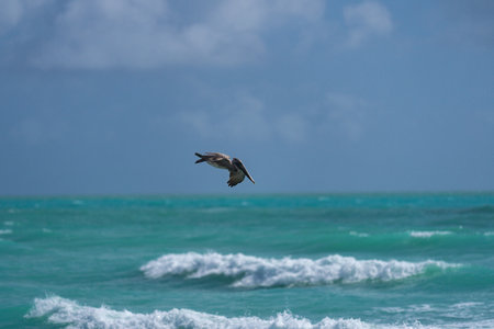 Ocean waves. Stormy sea waves. Summer sea beach wave. Foamy ocean waves. Summer ocean breeze. Dreamy summer beach background. Ocean splash waves.の写真素材