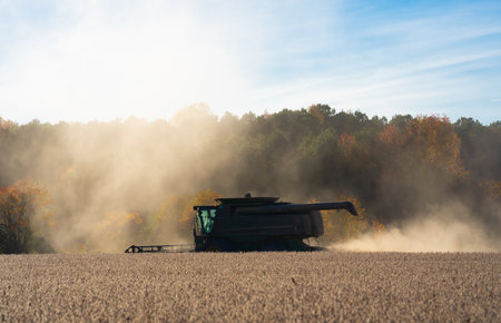 Combine harvester in a wheat field. Harvesting on rural farm. Combine harvester machinery. Agricultural Combine harvester at work. Rural landscape with a combine harvester. Work in the wheat fields.の写真素材