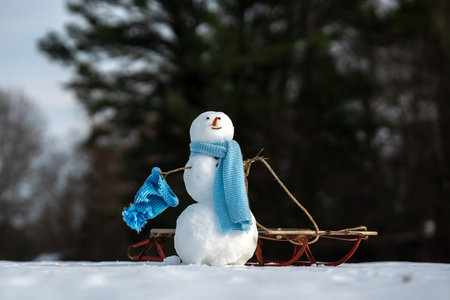 Snowman on snow background. Winter holiday scene. Snowman with scarf and hat. Snow design. Happy snowman outdoor. Snow banner. Frosty snowman. Winter greeting postcard. Cute snow man.の写真素材