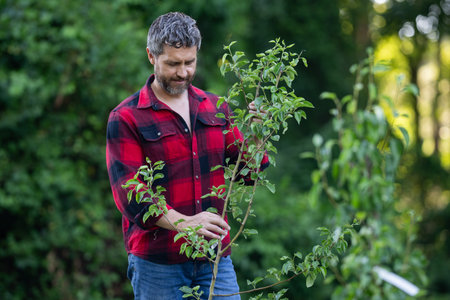 Gardener growing plants in the garden. Gardener plant tree in home yard. Gardener planting tree....