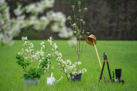 Gardening in spring background. Plan tree in spring field. Cultivate orchard. Farm on green meadow. Plant tree with garden tool. Gardening concept. Cultivate and gardening. Gardening tools.の写真素材