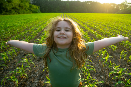 Child work in corn field. Child farm helper. Kid in the countryside. Child farmer on field. Harvest season, work on corn farm. Kid planting corn. Little farmer. Kids rural life. Happy little farmer.の写真素材