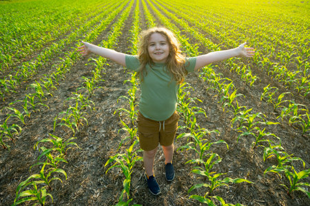 Child work in corn field. Child farm helper. Kid in the countryside. Child farmer on field. Harvest season, work on corn farm. Kid planting corn. Little farmer. Kids rural life. Happy little farmer.の写真素材