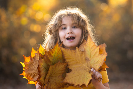 Kids with Autumn leaves of maple trees backdrop. Child near Autumn fall leaves in sunlight. Little kid in Autumnal fall park. Kids and Foliage, falling leaves. Autumn leaf with child. Falling leaves kids.の写真素材