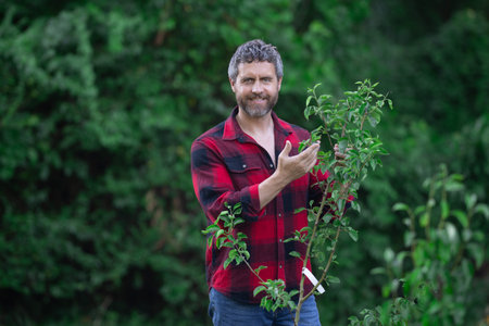 A gardener watering plants ant tree in a garden. A man pruning a tree in an orchard. A gardener...
