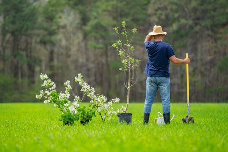 Farmer mature man planting tree. Farmer growing plants in spring backyard. Farmer working on spring...