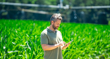 A farmer is on the corn field on farm. The farmer is working on farm to cultivate corn. Portrait of...