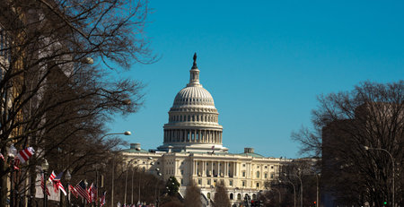 Washington, DC is the capital of the USA. The state capitol buildings in Washington, DC. The...