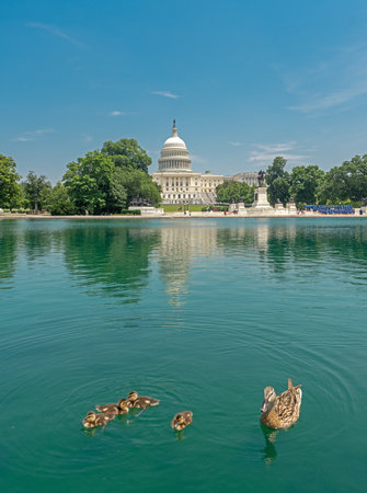 Iconic Congress under a clear sky. Congress is the historic symbol of American democracy. Congress in Washington, DC. The Capitol dome rising over Capitol Hill. Washington DC skyline near Congress.の写真素材