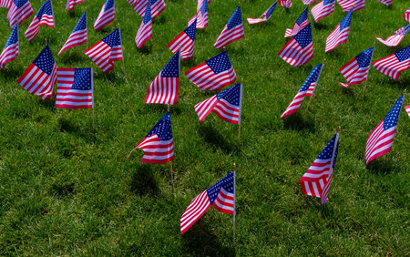 Flag of the United States. July 4th celebration. USA flag background. American flag waving. American flags on grass. US banner. Memorial Day. USA flags. United States flags poster.の写真素材