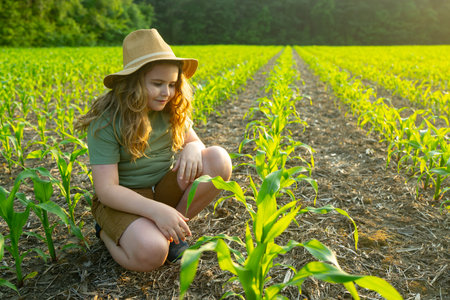Farmer child work in corn field. Kid in the countryside. Child farmer on field. Harvest season, work...