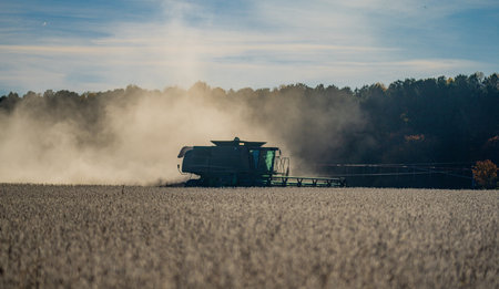 Cultivated fields. Combine harvester in a wheat field. Harvesting on rural farm. Combine harvester...
