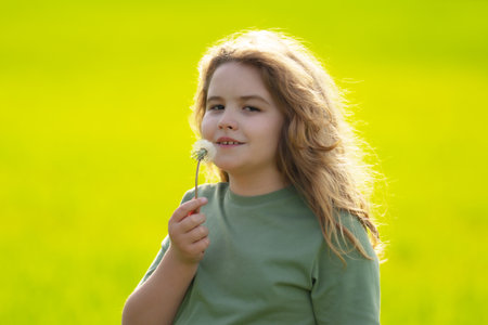 The child blows a dandelion. Kid play with dandelions on the field. The child dreams. Kid enjoys the carefree and blows dandelion seeds. Kids freedom. The kid blowing a dandelion. Kids dreaming face.の写真素材