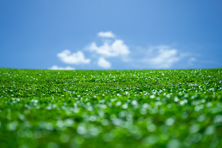 Grass background. Green meadow. Green grass land. Summer grassy countryside. Peaceful grass hill. Grass pattern. Summer meadow. Sunny field. Idyllic pasture. Green field texture. Grassy texture.の写真素材