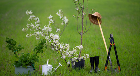 Garden in spring. Spring planting background. Cultivate backyard orchard. Farm on green meadow. Watering plants with tool. Gardening concept. Spring greenery and grass. Ground for planting.の写真素材