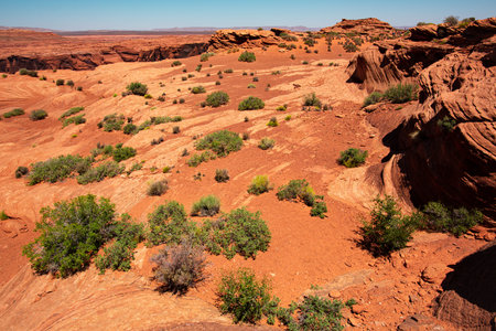 Desert. Canyon on the border of Nevada and Arizona. Desert mountain in National Park.の写真素材