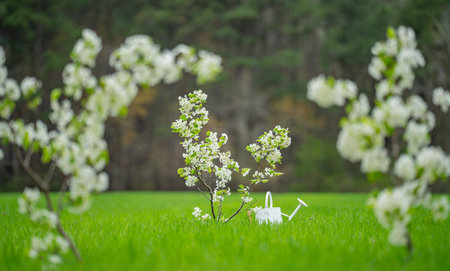 Garden in spring background. Planting tree in spring. Cultivate backyard orchard. Farm on green...
