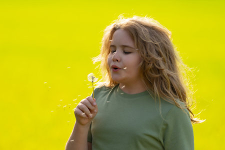 The child blows a dandelion. Kid play with dandelions on spring field. The child dreams. Kid enjoys the spring and blows dandelion seeds. Child on the summer meadow. The kid is blowing a dandelion.の写真素材