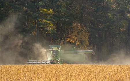 Harvest field. Straw and grain harvesting. Combine harvester in a wheat field. Harvesting on rural farm. Combine harvester machinery. Combine harvester at work. Rural landscape with a combine harvester.の写真素材