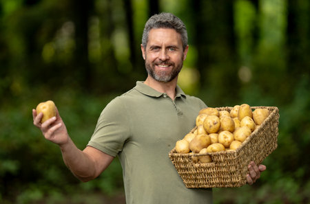 Farmer holding a raw potatoes vegetables. Man harvesting potatoes during summer growth. Fresh potatoes for the local market. Potatoes in hand.の写真素材