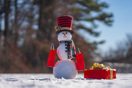 Snowman winter background. Winter holiday scene. Snowman with scarf and hat. Winter design. Happy snow-man outdoor. New year banner. Frosty snowman. Winter greeting postcard. Cute snowman.の写真素材