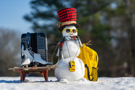 Winter gift from Snowman. Winter gifts sale concept. Snowman in hat and camera holding suitcase, luggage with gift. Winter baggage delivery service. Snowman is Santa helper for delivery gift.の写真素材