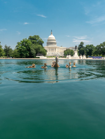Capitol in Washington, DC. Capitol across the reflecting pool. Washington D.C. landmarks with...